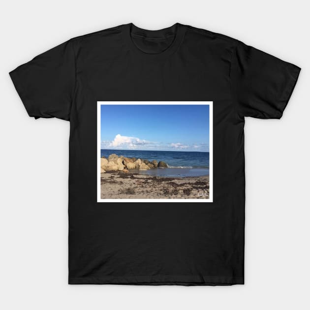 Daytona Beach View T-Shirt by ArtByJ